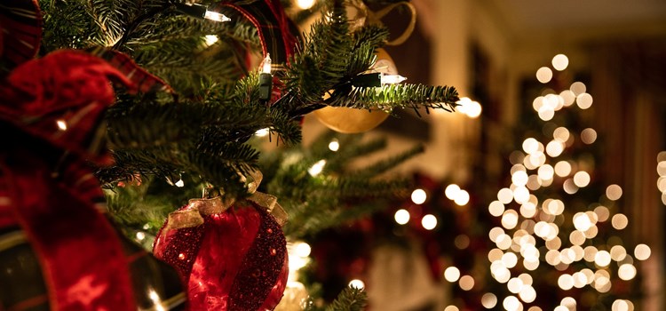 A Guide to a Stress-Free Christmas Celebration